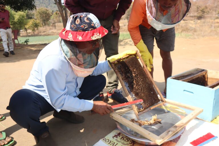 सोनहनी एक मीठीक्रांति…..इटालियन मधुमक्खियों, किसानों की मेहनत और कलेक्टर की पहल ने कोरिया में रचा अध्याय