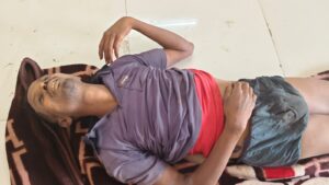 निर्माण कार्य पर लगे मजदूरों पर  हाथी का हमला, दो लोगों की मौत